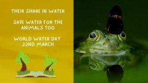 Posters on World Water Day