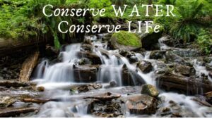 essay on water conservation