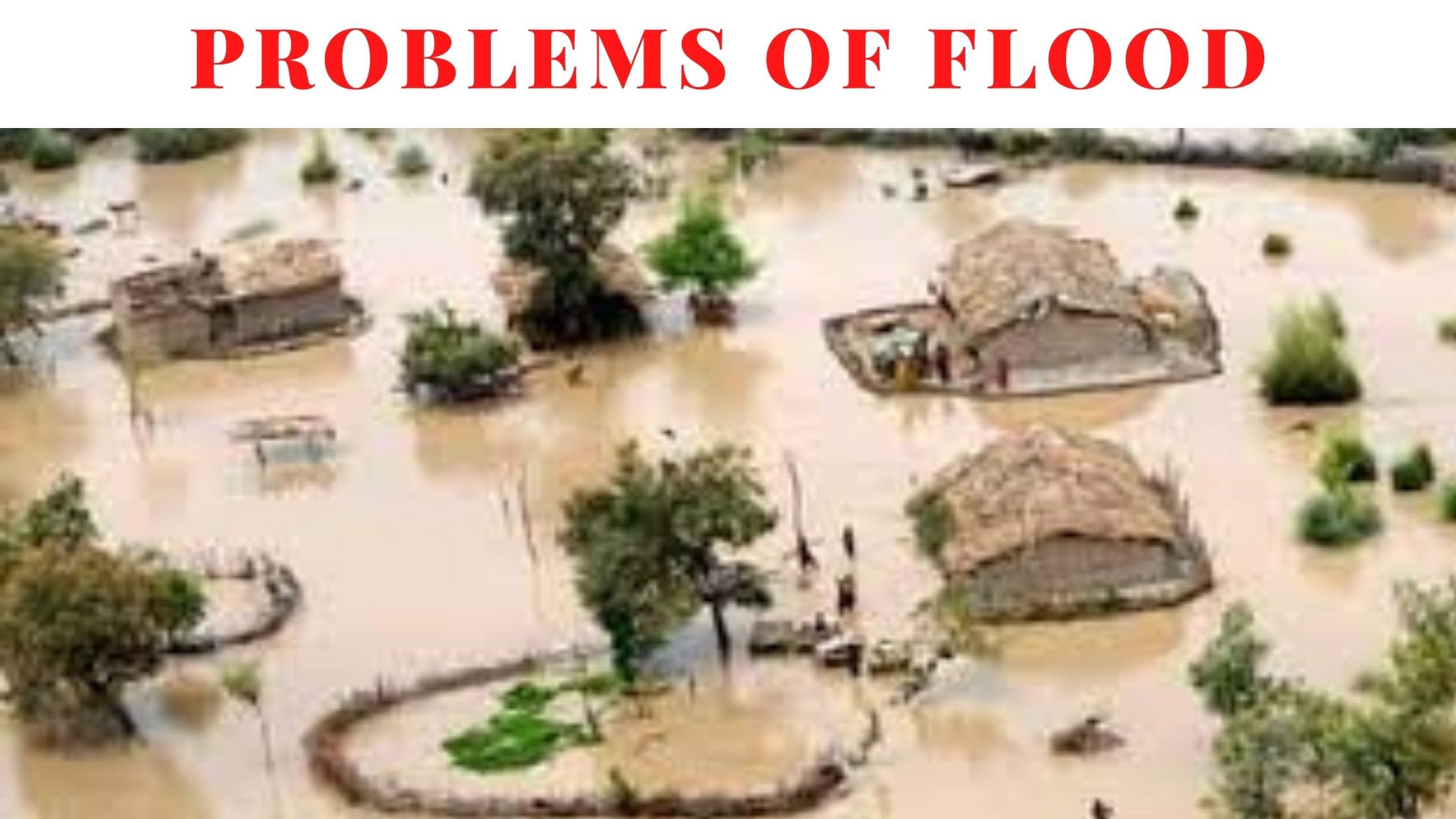 essay on effects of flood