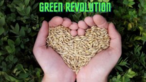 Green Revolution in India