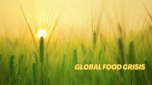 Global Food Crisis: Causes and Solutions